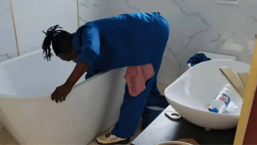 move out cleaning Harare Service