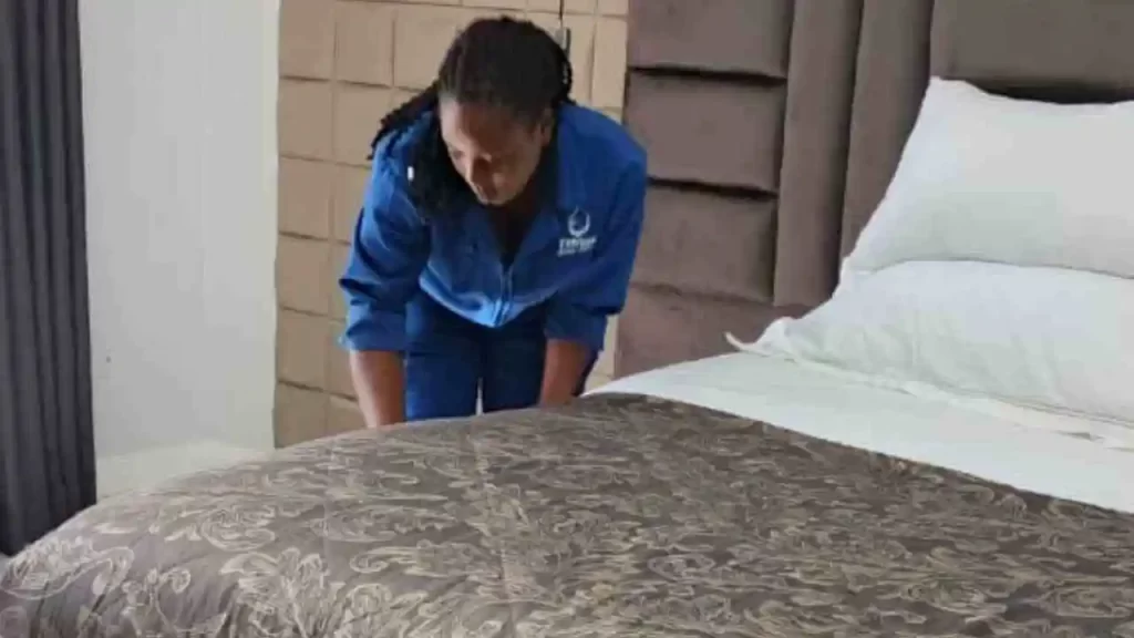 Mattress Cleaning Borrowdale