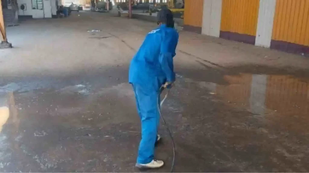 Professional pressure washing cleaning Borrowdale for residential driveways