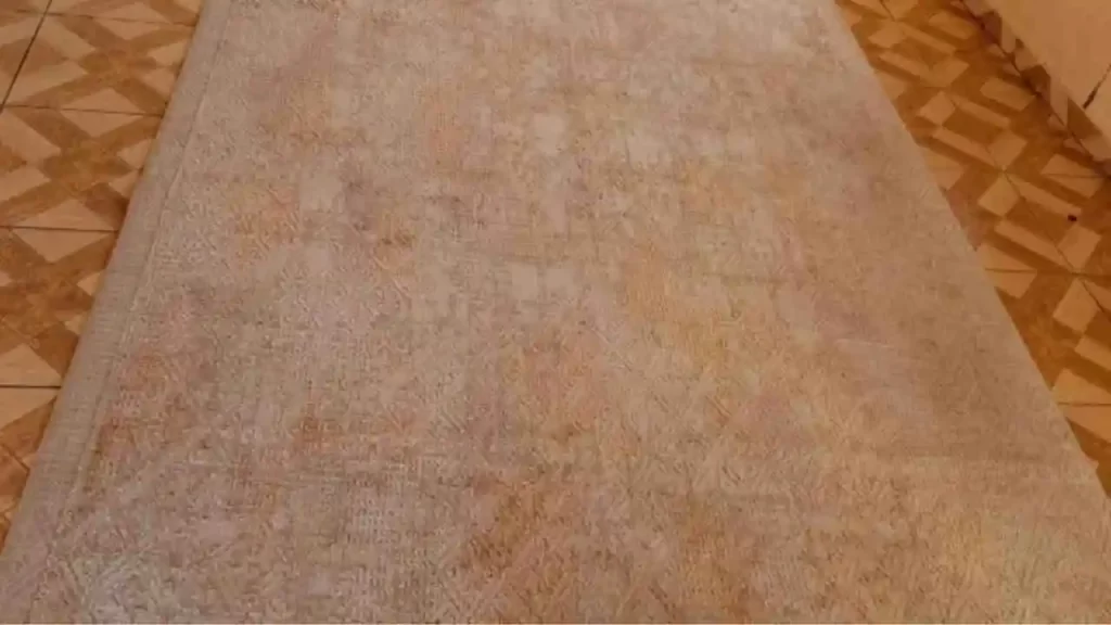 Professional Rug Cleaning Service Borrowdale technician cleaning a Persian rug.